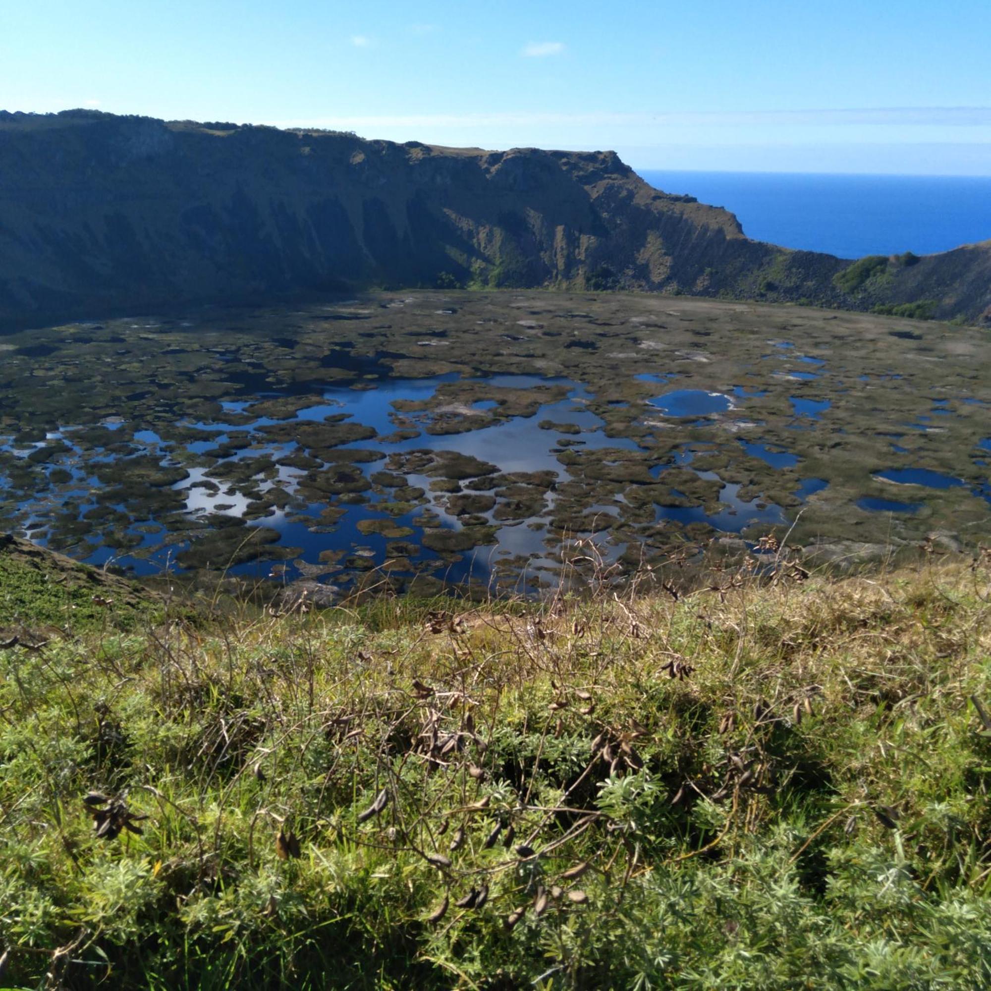 Hostal Tu'U Koihu Hanga Roa Eksteriør billede